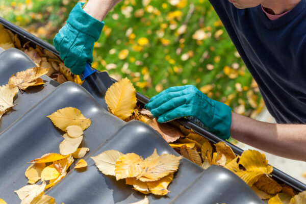 Gutter Debris Removal